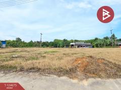 ขายที่ดิน เนื้อที่ 2 งาน 98.9 ตร.วา คลองนารายณ์ จันทบุรี แบ่งขายได้-202510221055291761105329078.jpg