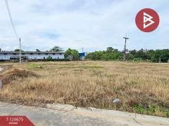 ขายที่ดิน เนื้อที่ 2 งาน 98.9 ตร.วา คลองนารายณ์ จันทบุรี แบ่งขายได้-202510221055291761105329603.jpg