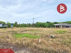 ขายที่ดิน เนื้อที่ 2 งาน 98.9 ตร.วา คลองนารายณ์ จันทบุรี แบ่งขายได้-202510221055301761105330131.jpg