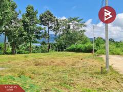 ขายที่ดิน เนื้อที่ 2 งาน 98.9 ตร.วา คลองนารายณ์ จันทบุรี แบ่งขายได้-202510221055301761105330656.jpg