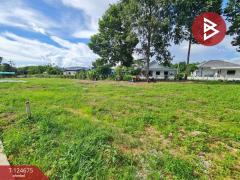 ขายที่ดิน เนื้อที่ 2 งาน 98.9 ตร.วา คลองนารายณ์ จันทบุรี แบ่งขายได้-202510221055311761105331611.jpg