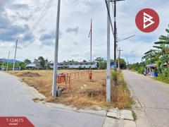 ขายที่ดิน เนื้อที่ 2 งาน 98.9 ตร.วา คลองนารายณ์ จันทบุรี แบ่งขายได้-202510221055321761105332700.jpg