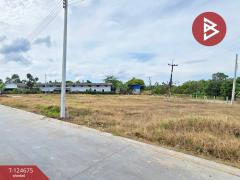 ขายที่ดิน เนื้อที่ 2 งาน 98.9 ตร.วา คลองนารายณ์ จันทบุรี แบ่งขายได้-202510221055331761105333230.jpg