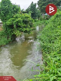 ขายที่ดิน เนื้อที่ 2 งาน 98.9 ตร.วา คลองนารายณ์ จันทบุรี แบ่งขายได้-202510221055341761105334734.jpg