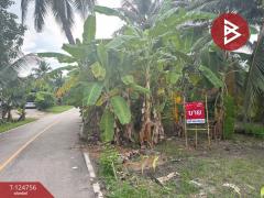 ขายที่ดิน เนื้อที่ 49.6 ตร.วา ท้ายหาด สมุทรสงคราม-202510221100481761105648305.jpg