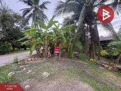 ขายที่ดิน เนื้อที่ 49.6 ตร.วา ท้ายหาด สมุทรสงคราม-202510221100481761105648843.jpg