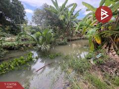 ขายที่ดิน เนื้อที่ 49.6 ตร.วา ท้ายหาด สมุทรสงคราม-202510221100491761105649392.jpg