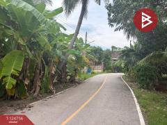 ขายที่ดิน เนื้อที่ 49.6 ตร.วา ท้ายหาด สมุทรสงคราม-202510221100511761105651768.jpg