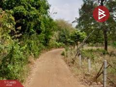 ขายที่ดิน เนื้อที่ 4 ไร่ ต.บ้านดงแดง จตุรพักตรพิมาน ร้อยเอ็ด-202510221105401761105940499.jpg