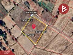 ขายที่ดิน เนื้อที่ 4 ไร่ ต.บ้านดงแดง จตุรพักตรพิมาน ร้อยเอ็ด-202510221105411761105941748.jpg