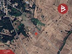 ขายที่ดิน เนื้อที่ 4 ไร่ ต.บ้านดงแดง จตุรพักตรพิมาน ร้อยเอ็ด-202510221105431761105943224.jpg