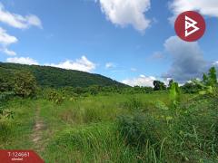 ขายที่ดิน เนื้อที่ 18 ไร่ 1 งาน 24 ตร.วา หนองแค สระบุรี