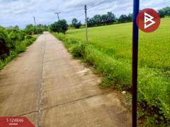 ขายที่ดิน เนื้อที่ 8 ไร่ 2 งาน 80.6 ตร.วา บึงสามพัน เพชรบูรณ์