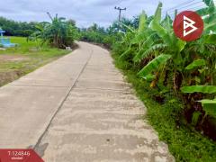 ขายที่ดิน เนื้อที่ 8 ไร่ 2 งาน 80.6 ตร.วา บึงสามพัน เพชรบูรณ์-202510221258311761112711091.jpg