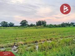 ขายที่ดิน เนื้อที่ 1 งาน องครักษ์ นครนายก