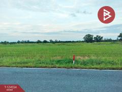 ขายที่ดิน เนื้อที่ 1 งาน องครักษ์ นครนายก-202510221410081761117008145.jpg
