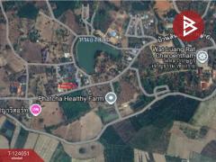 ขายที่ดินพร้อมสิ่งปลูกสร้าง เนื้อที่ 183 ตารางวา ต.แม่เจดีย์ อ.เวียงป่าเป้า จ.เชียงราย