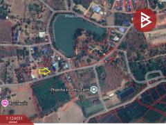 ขายที่ดินพร้อมสิ่งปลูกสร้าง เนื้อที่ 183 ตารางวา ต.แม่เจดีย์ อ.เวียงป่าเป้า จ.เชียงราย-202510221417211761117441479.jpg