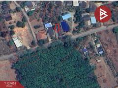 ขายที่ดินพร้อมสิ่งปลูกสร้าง เนื้อที่ 183 ตารางวา ต.แม่เจดีย์ อ.เวียงป่าเป้า จ.เชียงราย-202510221417221761117442029.jpg