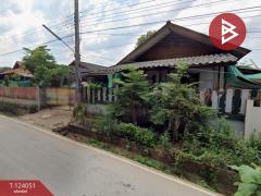 ขายที่ดินพร้อมสิ่งปลูกสร้าง เนื้อที่ 183 ตารางวา ต.แม่เจดีย์ อ.เวียงป่าเป้า จ.เชียงราย-202510221417251761117445831.jpg