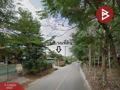 ขายที่ดินพร้อมสิ่งปลูกสร้าง เนื้อที่ 183 ตารางวา ต.แม่เจดีย์ อ.เวียงป่าเป้า จ.เชียงราย-202510221417261761117446369.jpg