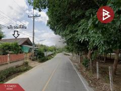 ขายที่ดินพร้อมสิ่งปลูกสร้าง เนื้อที่ 183 ตารางวา ต.แม่เจดีย์ อ.เวียงป่าเป้า จ.เชียงราย-202510221417271761117447121.jpg