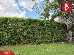 ขายที่ดินสนามกอล์ฟ เนื้อที่ 1 ไร่ 1 งาน 1 ตร.วา บ้านฉาง ระยอง-202510221431071761118267469.jpg