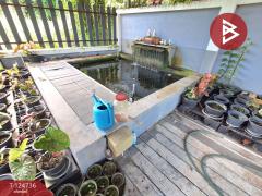 ขายบ้านเดี่ยวชั้นเดียว เนื้อที่ 1 งาน 5 ตร.วา สำนักบก ชลบุรี-202510221505591761120359204.jpg