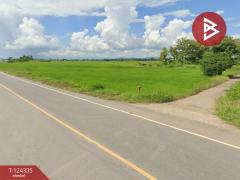 ขายที่ดิน เนื้อที่ 10 ไร่ 2 งาน 73 ตร.วา ดอกคำใต้ พะเยา-202510221508281761120508799.jpg