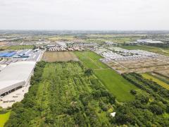 ขายที่ดินเปล่าพื้นใหญ่ บางปรอก เมือง ปทุมธานี-202510221543211761122601665.jpg