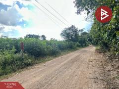 ขายที่ดินถมแล้ว เนื้อที่ 9 ไร่ 3 งาน 42 ตร.วา กาฬสินธุ์-202510221550291761123029534.jpg