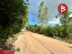 ขายที่ดินถมแล้ว เนื้อที่ 9 ไร่ 3 งาน 42 ตร.วา กาฬสินธุ์-202510221550301761123030068.jpg