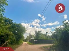 ขายที่ดินถมแล้ว เนื้อที่ 9 ไร่ 3 งาน 42 ตร.วา กาฬสินธุ์-202510221550301761123030639.jpg