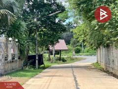 ขายที่ดินถมแล้ว เนื้อที่ 9 ไร่ 3 งาน 42 ตร.วา กาฬสินธุ์-202510221550311761123031176.jpg