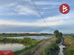  ขายที่ดินแปลงใหญ่ เนื้อที่ 115 ไร่ 2 งาน 75 ตารางวา บ้านโพธิ์ ฉะเชิงเทรา