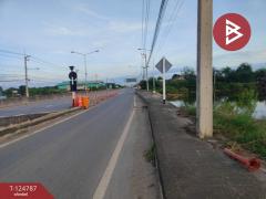  ขายที่ดินแปลงใหญ่ เนื้อที่ 115 ไร่ 2 งาน 75 ตารางวา บ้านโพธิ์ ฉะเชิงเทรา-202510221615161761124516680.jpg