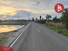  ขายที่ดินแปลงใหญ่ เนื้อที่ 115 ไร่ 2 งาน 75 ตารางวา บ้านโพธิ์ ฉะเชิงเทรา-202510221615181761124518106.jpg