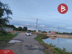  ขายที่ดินแปลงใหญ่ เนื้อที่ 115 ไร่ 2 งาน 75 ตารางวา บ้านโพธิ์ ฉะเชิงเทรา-202510221615191761124519656.jpg