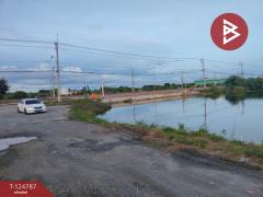  ขายที่ดินแปลงใหญ่ เนื้อที่ 115 ไร่ 2 งาน 75 ตารางวา บ้านโพธิ์ ฉะเชิงเทรา-202510221615201761124520254.jpg