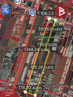  ขายที่ดินแปลงใหญ่ เนื้อที่ 115 ไร่ 2 งาน 75 ตารางวา บ้านโพธิ์ ฉะเชิงเทรา-202510221615231761124523479.jpg