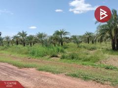 ขายที่ดินสวนผลไม้ พร้อมสิ่งปลูกสร้าง เนื้อที่ 23 ไร่ 1 งาน 64 ตารางวา พิษณุโลก