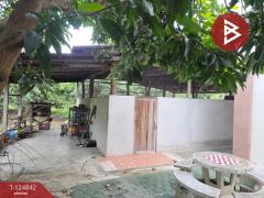 ขายบ้านเดี่ยวพร้อมที่ดิน เนื้อที่ 2 ไร่ 1 งาน 20.4 ตารางวา อ.บ้านโฮ่ง ลำพูน-202510221644411761126281394.jpg