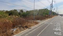 ขายที่ดินเปล่า ติดถนนรัตนโกสินทร์ 200 ปี เนื้อที่ 440 ไร่  ตำบลบางบ่อ อำเภอบางบ่อ จังหวัดสมุทรปราการ-202510221646141761126374215.jpg