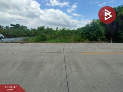 ขายที่ดิน เนื้อที่ 3 ไร่ กระทุ่มแบน สมุทรสาคร-202510221656301761126990568.jpg