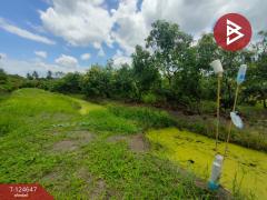 ขายที่ดิน เนื้อที่ 3 ไร่ กระทุ่มแบน สมุทรสาคร-202510221656311761126991647.jpg