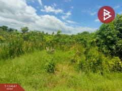 ขายที่ดิน เนื้อที่ 3 ไร่ กระทุ่มแบน สมุทรสาคร-202510221656321761126992177.jpg