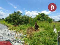 ขายที่ดิน เนื้อที่ 3 ไร่ กระทุ่มแบน สมุทรสาคร-202510221656331761126993256.jpg