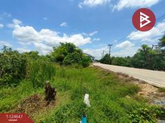 ขายที่ดิน เนื้อที่ 3 ไร่ กระทุ่มแบน สมุทรสาคร-202510221656331761126993795.jpg