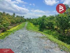 ขายที่ดิน เนื้อที่ 3 ไร่ กระทุ่มแบน สมุทรสาคร-202510221656341761126994408.jpg