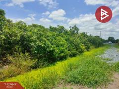 ขายที่ดิน เนื้อที่ 3 ไร่ กระทุ่มแบน สมุทรสาคร-202510221656361761126996067.jpg